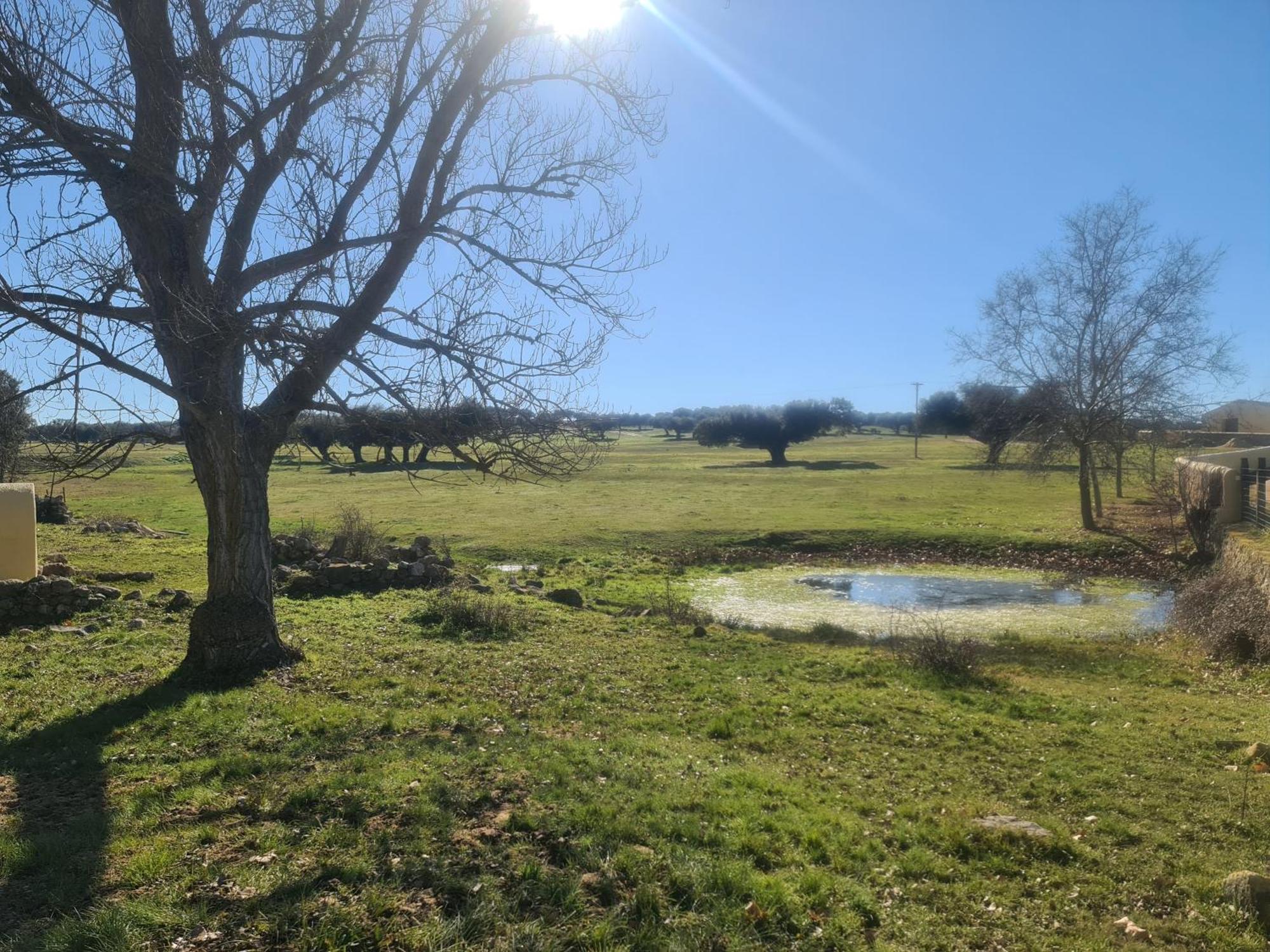 Casa Rural Palacio Conde De Aldana Con Piscina Entre Encinares Y Dehesas Terradillos Exteriör bild